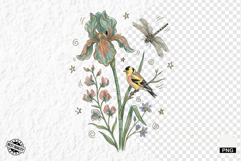 1920 Botanical Summer Wildflowers Clipart Product Image 1