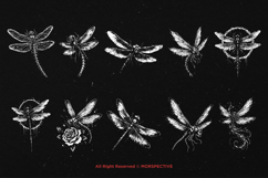 10 Bundle Dark Art Dragonfly Insect Devil Skull Flying Wing Product Image 6