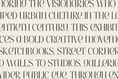 Highfield Elegant Editorial Serif Product Image 4