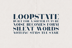 Tamira Modern Serif Elegant High Contrast Display Product Image 4