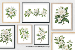 15 Bundle Watercolor Jasmine Flower Decoration Wedding Product Image 4