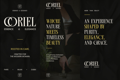 Rekogil - Luxury Serif Font for Branding Product Image 4