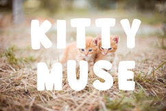 BONDY SPACE Product Image 4