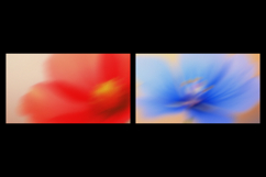 Airy Floral Bloom Soft Backgrounds Product Image 4