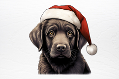 Christmas Peeking Dogs Clipart PNG Product Image 4