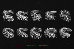10 Bundle Dark Art Centipede Insects Gothic Skull Horror Product Image 6