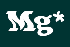 Armada Serif Product Image 4