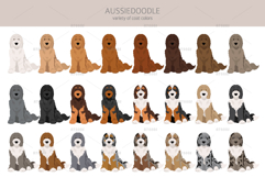 Aussiedoodle, Aussie Poodle mix Product Image 3
