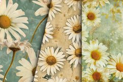 Vintage Daisy Flowers Digital Paper Bundle Product Image 4