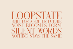 Kindel Elegant Display Serif Product Image 4