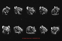 10 Bundle Dark Art Rat Mouse Horror Animal Beast Scary Product Image 6