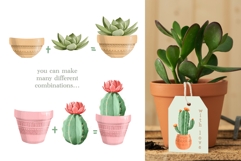 Watercolor Cactus Clipart , Succulent PNG, Desert Plants Product Image 3