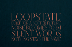 Future Flow Elegant Cut Serif Typeface Product Image 4