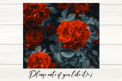 Oil paint rose Skinny tumbler design | Sublimation bundle Product Image 4