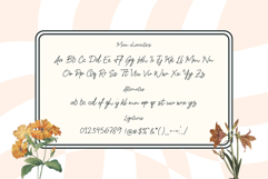 Emirtha Signature Product Image 4
