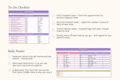 Pregnancy Planner Excel Spreadsheet Product Image 4