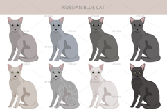 Russian Blue Cat Product Image 3