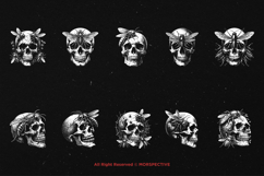 10 Bundle Dark Art Skull Insect Animal Bug Beetle Fly Wasp Product Image 6