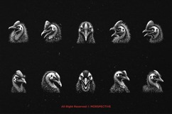 10 Bundle Dark Art Cassowary Bird Exotic Animal Tropical Product Image 6