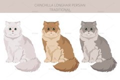 Chinchilla Persian Longhair Traditional clipart Product Image 3