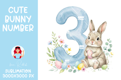Easter Bunny Number 0-9 PNGs,Baby Shower Sublimation Design Product Image 5