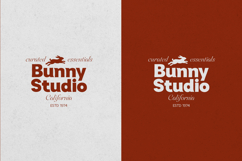 Sweetform - Serif &amp; Sans Font Duo Product Image 4