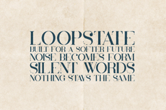 Inara Organic Textured Serif Font Product Image 4