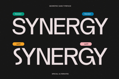 Geometric Corporate Sans Serif Font - Soltyer Product Image 4