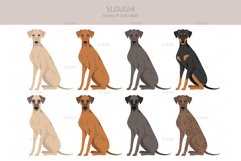 Sloughi clipart Product Image 2