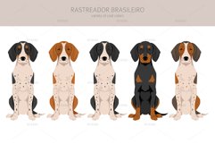 Rastreador Brasileiro clipart Product Image 4
