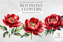 Red Peony Elegance Clipart , Watercolor PNG. Product Image 1