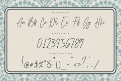 Figetress Signature Product Image 3