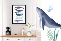 Watercolor Whales Clipart, Nautical Ocean Animals Product Image 5