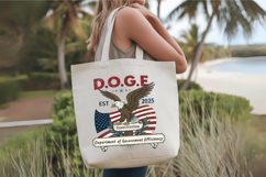 Eagle Patriotic 2025 4th of July PNG Sublimation Design Product Image 4