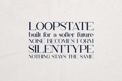 Papillon Serif Font Elegant Modern Editorial Product Image 4