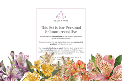 Retro Vintage Alstroemeria Flowers Clipart Bundle Product Image 4