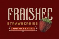 Akoher - Vintage Decorative Font Product Image 4
