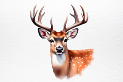 Pink Christmas Collection Sublimation PNG Product Image 4