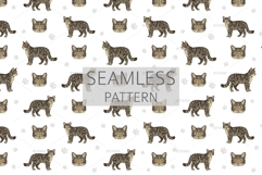 European wild cats clipart Product Image 9
