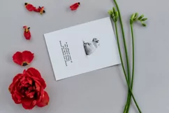 Bulldog dog sympathy, Digital download, Pet sympathy card Product Image 6