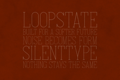 Italian Elegant Thin Slab Serif Font Product Image 4