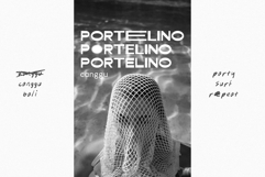 Barviera Font Duo Product Image 4