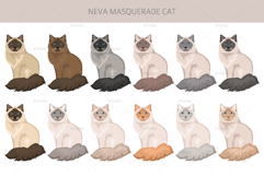 Neva Masquerade cat Product Image 3