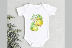 Pear with Flowers and Leaves Watercolor Clip Art Fruit Food Product Image 4
