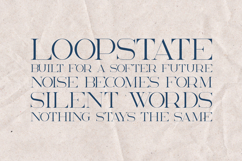 Akros Elegant Serif Font Product Image 4