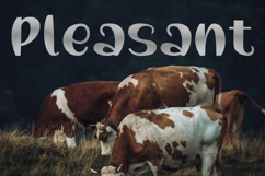 Bubbly Notes Product Image 4