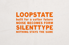 Minerva Bold Organic Sans Serif Font Product Image 4