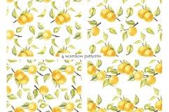 Watercolor Apricots Product Image 5