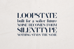Sonder Elegant Serif Modern Editorial Typeface Product Image 4