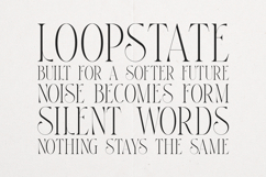 Thorn Tale Elegant Modern Serif Product Image 4